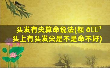 头发有尖算命说法(额 🌹 头上有头发尖是不是命不好)